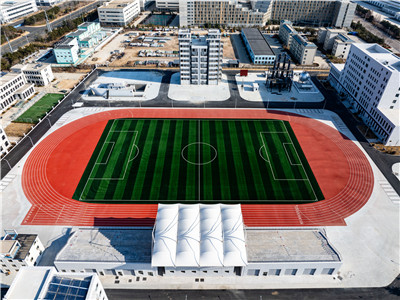 DJI_20250102124517_0429_D.jpg